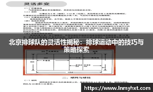 北京排球队的灵活性揭秘：排球运动中的技巧与策略探索